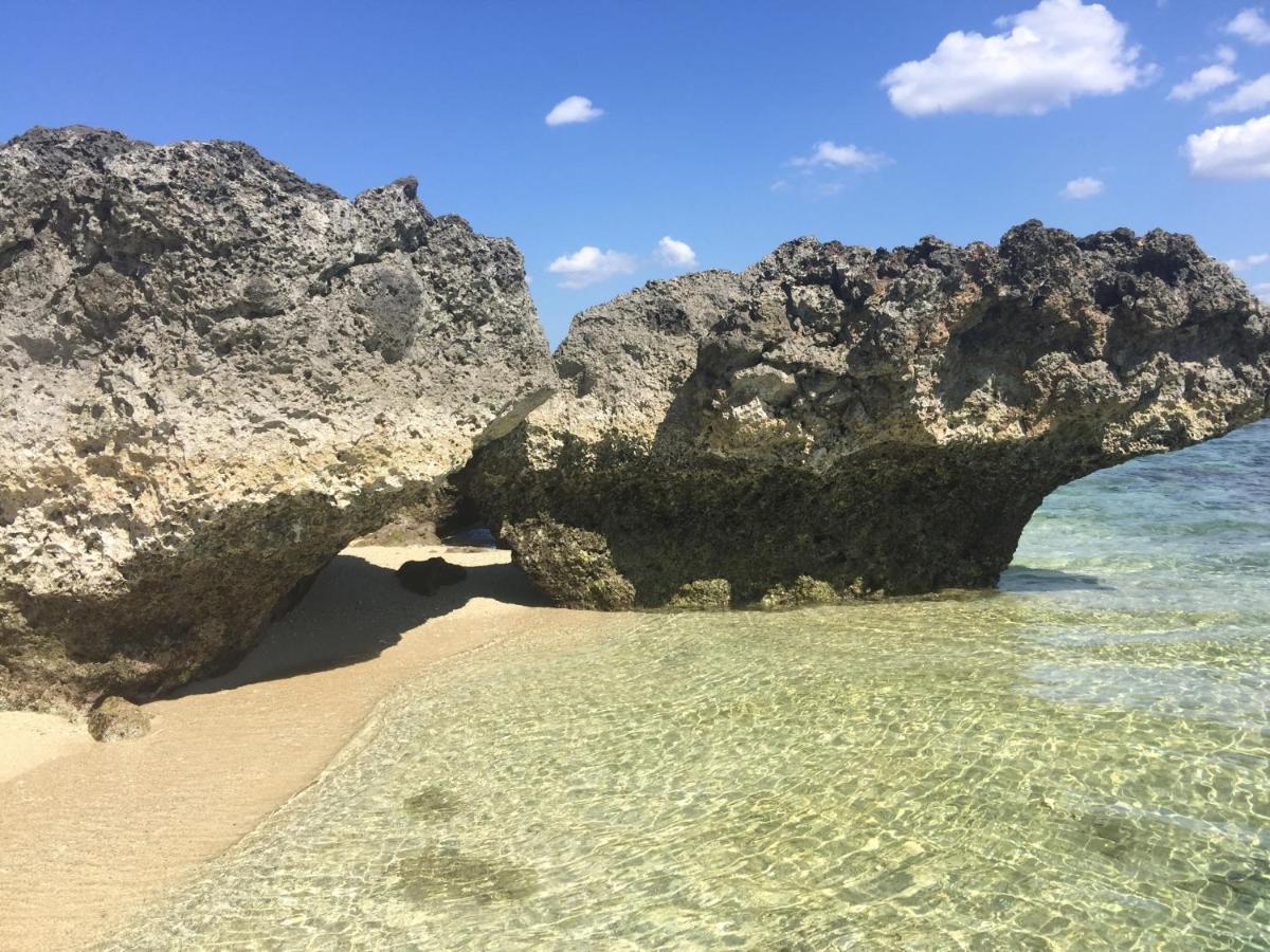 Maleo Moyo Hotel & Dive Resort Moyo Island Екстериор снимка