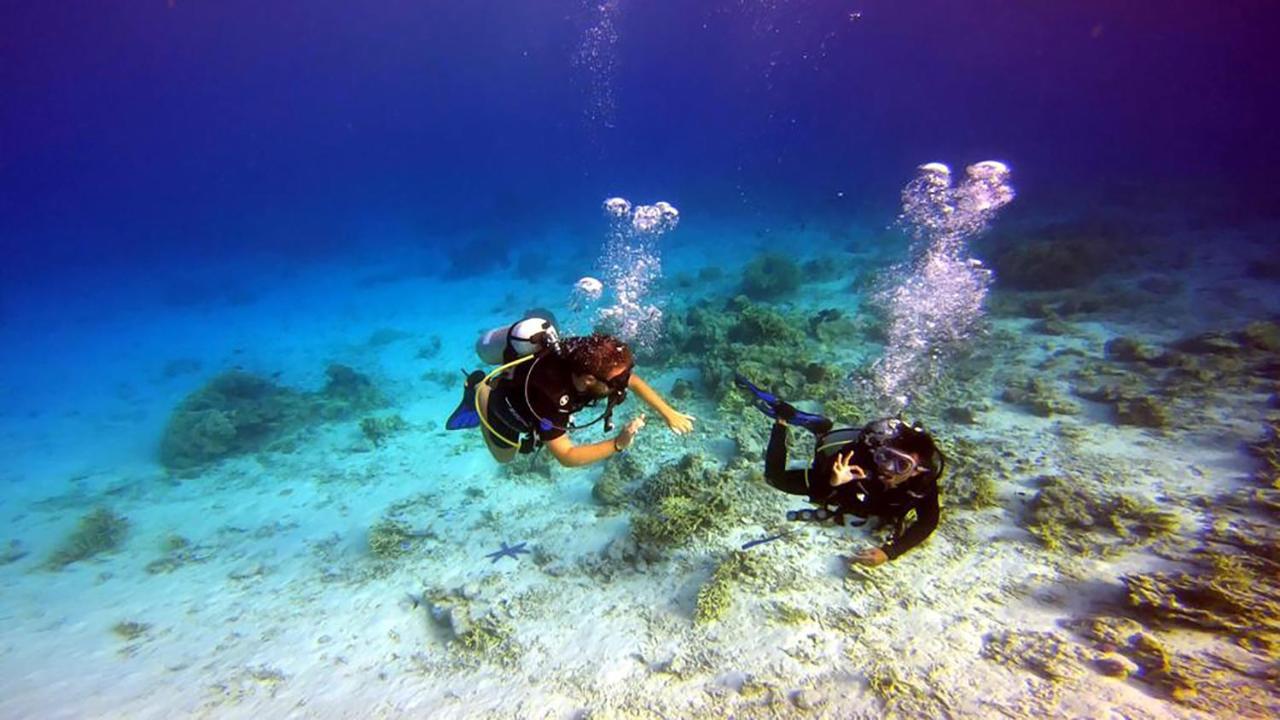 Maleo Moyo Hotel & Dive Resort Moyo Island Екстериор снимка