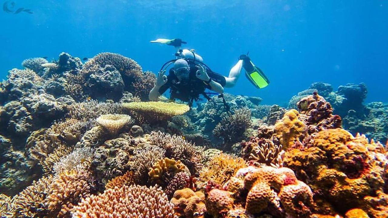 Maleo Moyo Hotel & Dive Resort Moyo Island Екстериор снимка